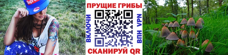 Псилоцибиновые грибы MAGIC MUSHROOMS  мориарти как зайти  Лагань 
